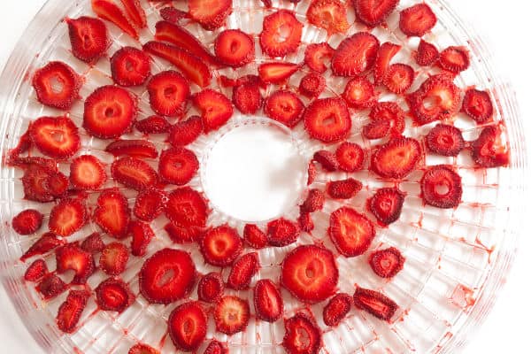 slices of strawberries on dehydrator