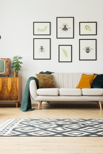 picture of a living room with a rug in front of a couch